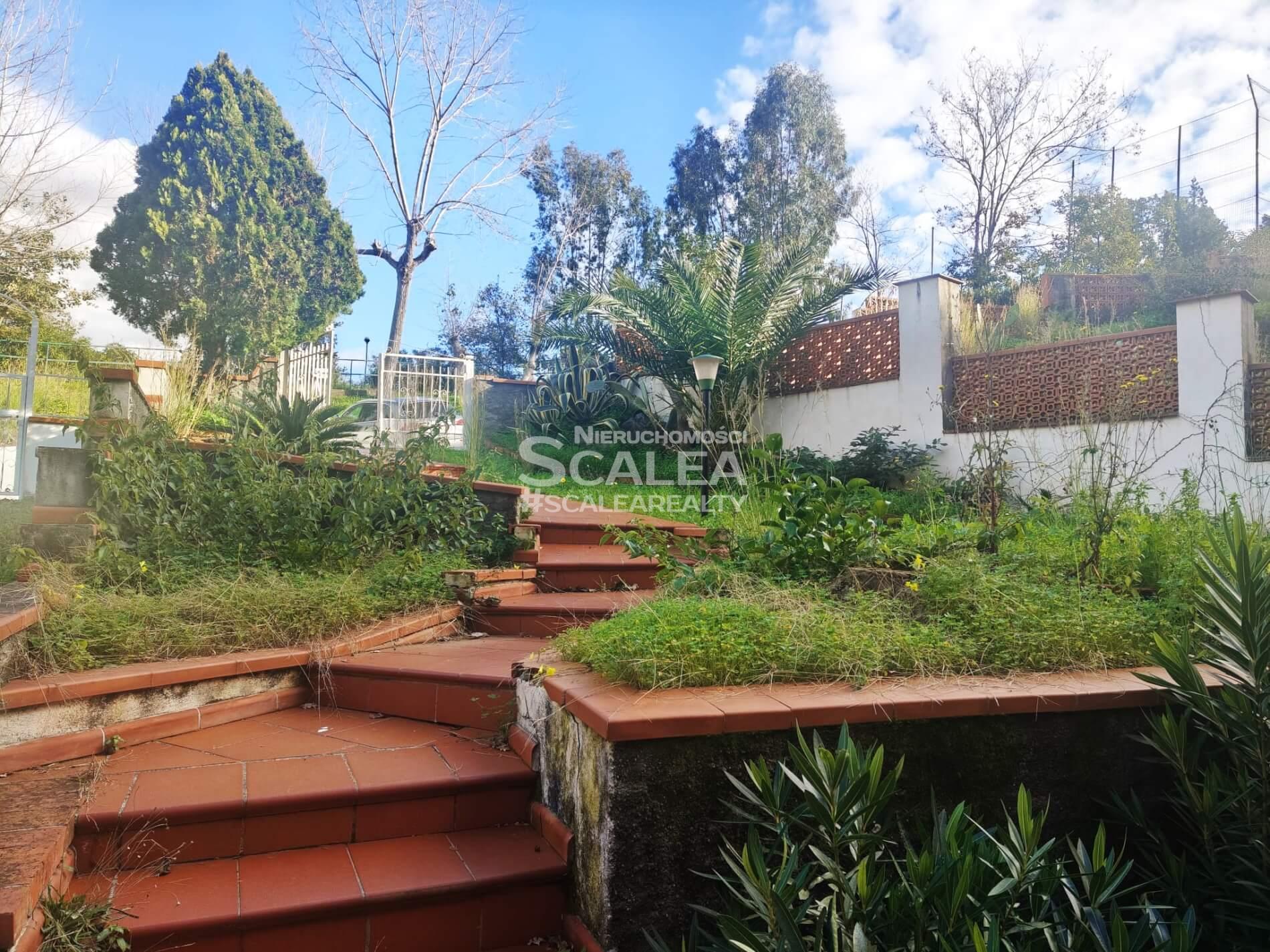 Scalea, Baia del Carpino, willa z dostępem do morza